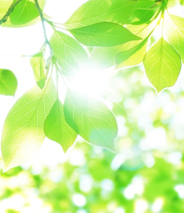 「わたし目線」の町づくり